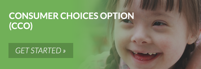 Consumer Choice Options